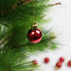 Glossy red 3cm Christmas tree ball ornament hanging on a green pine branch