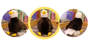 Dettaglio in tre viste del peluche realistico dell'aquila calva con angoli vari e retro