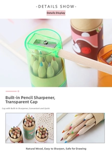 Detail of clear sharpener lid and 12 colored pencils in a cartoon bear paper tube