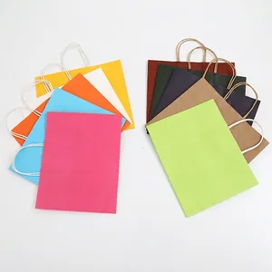 Colorful kraft paper gift bags with twisted handles in a fan-shaped symmetrical layout