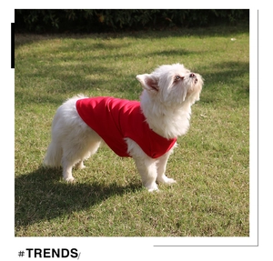 Close-up of a small dog wearing a vibrant red cotton pet t-shirt on a green grass field
