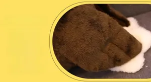 Dettaglio dell'aquila di peluche che mostra la trama della pelliccia sintetica bianca e marrone