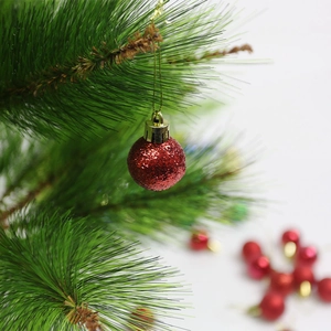 Close-up of a 3cm red glitter Christmas ball hanging on a festive green pine branch
