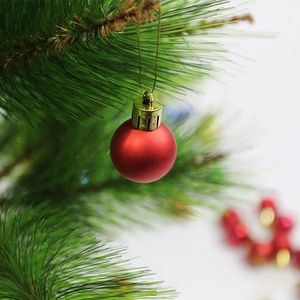 Macro detail of a 3cm matte red Christmas ball ornament hanging on a pine tree branch