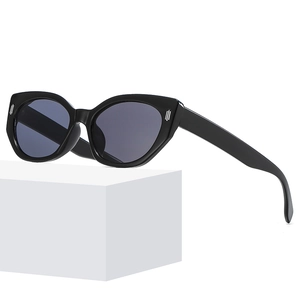 Cat Eye Sunglasses UV Protection PC Frame AC Lens Retro Vintage Fashion Eyewear For Women Outdoor Travel Streetwear
