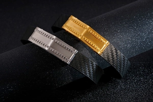 Detail showing gold and silver stainless steel gear elements with carbon fiber texture