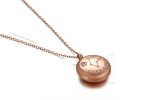 Detail of rose gold Capricorn zodiac necklace with dimensions and zircon inlay