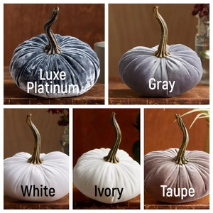 Detailed grid of velvet pumpkins in luxury platinum, gray, white, ivory, and taupe colors