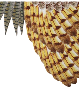 Macro view of realistic brown owl feather patterns on fabric for kids carnival costume