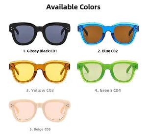 Detailed view of vintage chunky sunglasses with iconic silver rivet decorations in 5 colors