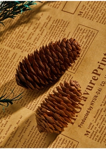 Close-up of natural pine cones with wood texture on vintage newspaper for Christmas decor