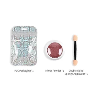 Chrome nail powder set with rose gold pigment, dual sponge applicator, and PVC pouch