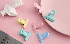 Pastel macaron metal binder clips displayed with a notebook and small plaster bust decor