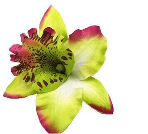 Detail einer gelb-grünen künstlichen Orchidee Haarspange mit lila Punkten und rosa Rand