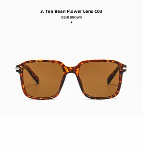 Macro shot of Demi Brown C03 sunglasses featuring a retro frame and metal hinge details
