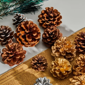 Natural large pine cones in gold and white for festive Christmas tree hanging decorations
