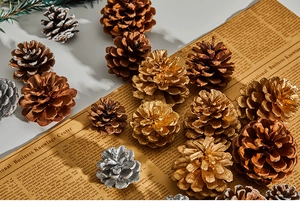 Close-up of gold and silver natural pine cones on vintage paper for Christmas decor