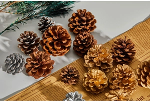 Macro detail of natural gold and snow-tipped pine cones on vintage paper background