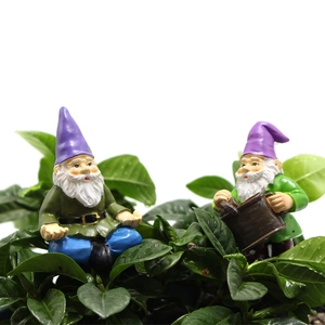 Vue macro de deux nains de jardin en résine assis et arrosant parmi des feuilles vertes