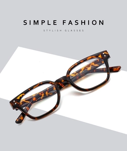 Detail view of model ZN3661 tortoiseshell frame with CE certification mark on the temple