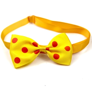 Close-up of a yellow pet bowtie with red polka dots and an adjustable neck strap