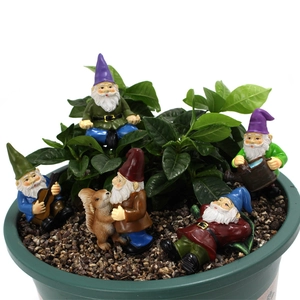 Detailed view of 5 miniature resin garden gnomes in various poses within a green flowerpot