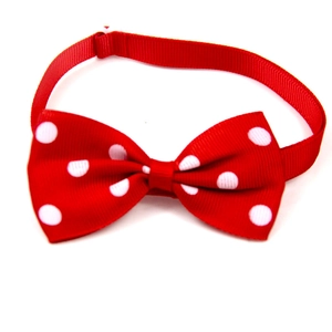 Detailed view of a red polka dot pet bowtie with adjustable strap on a white background
