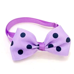 Detail of purple polka dot pet bowtie made of textured ribbed webbing on white background