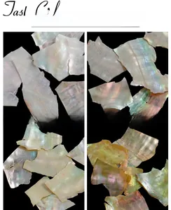 Close-up of irregular iridescent seashell fragments in various colors for nail art design