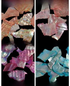 Detailed macro view of 6 colorful iridescent natural seashell flakes for nail art DIY