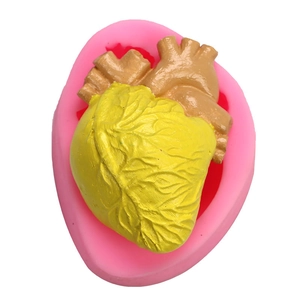 Siliconen mal voor 3D menselijk hart met anatomische details en spierstructuren