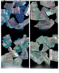 Close-up of 12-color iridescent natural shell fragments for nail art and resin crafts