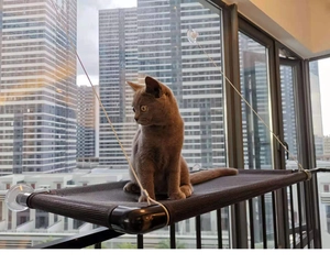 Detail view of cat window hammock with breathable mesh, strong suction cups and support wires