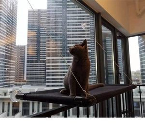 Cat window hammock with black mesh, strong suction cups and urban view background