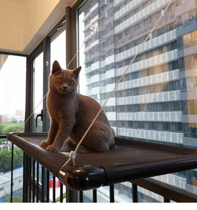 Cat window hammock featuring a sturdy black breathable mesh and strong suction cup mount