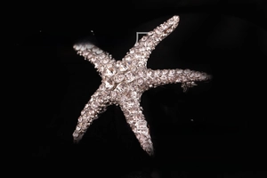 Macro shot of silver starfish brooch featuring intricate sparkling crystal rhinestones
