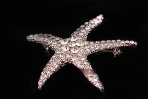 Macro shot of silver starfish brooch with sparkling crystal rhinestone detailing