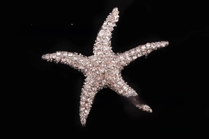 Macro detail of starfish brooch with sparkling rhinestones on polished silver metal base
