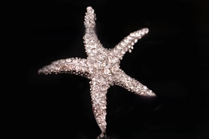 Macro detail of starfish brooch featuring silver alloy base and paved sparkling crystals