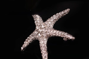Macro shot of silver-tone starfish brooch encrusted with clear sparkling rhinestones
