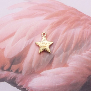 Golden star charm with heart engravings on soft pink feathers for jewelry making