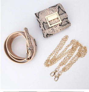 Detailed view of snakeskin pattern mini bag with gold buckle, belt and metal chain strap