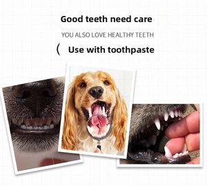 Close-up of pet dual-head toothbrush usage guide for effective canine oral dental hygiene
