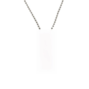 Inspirational silver dog tag necklace with stainless steel bead chain and engraved quote