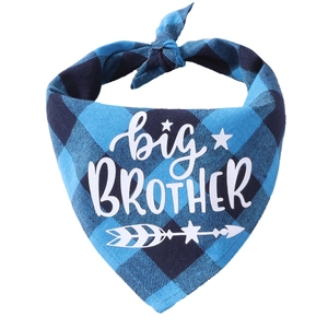 Close-up of blue plaid dog bandana featuring Big Brother print on cotton fabric