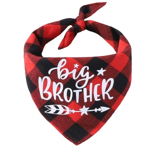 Macro shot of red plaid cotton dog bandana featuring white big BROTHER printed text