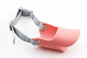 Close-up of pink duck-bill dog muzzle with grey nylon strap on plain white background