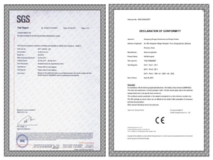 Official SGS RoHS report and CE EN71 declaration for colorful magnetic balls