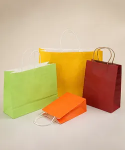 Auswahl an verdickten Kraftpapiertüten mit gedrehten Griffen in vier Farben