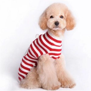 Close-up of red and white striped knitted dog sweater on a brown poodle with ribbed neck